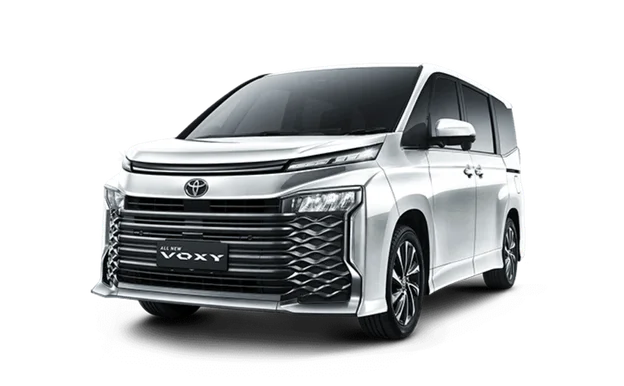 voxy